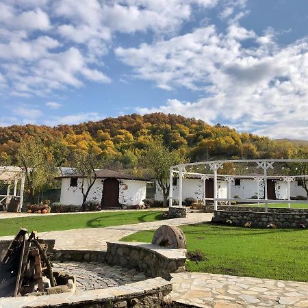 Hotel Satul Cu Flori Buzau Exterior foto