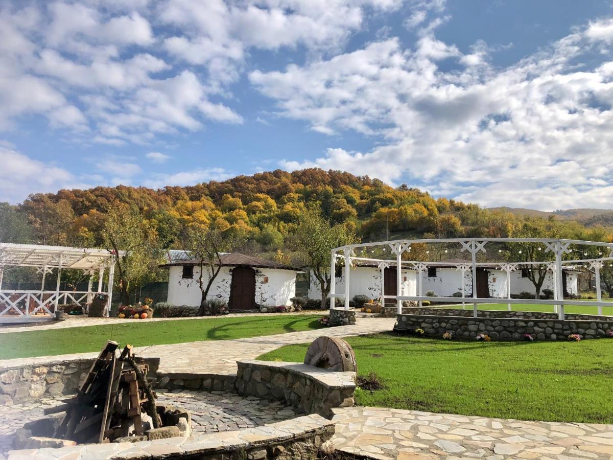 Hotel Satul Cu Flori Buzau Exterior foto