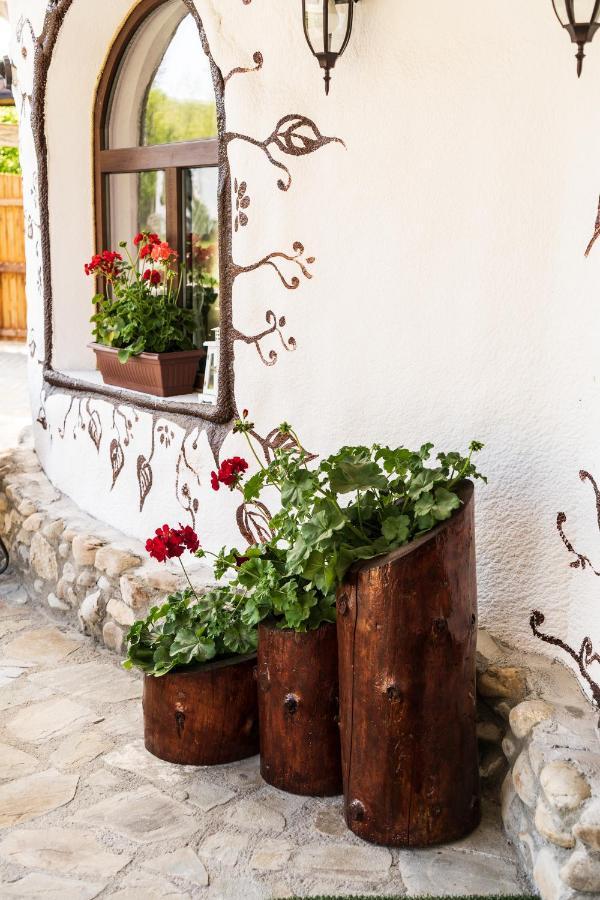 Hotel Satul Cu Flori Buzau Exterior foto